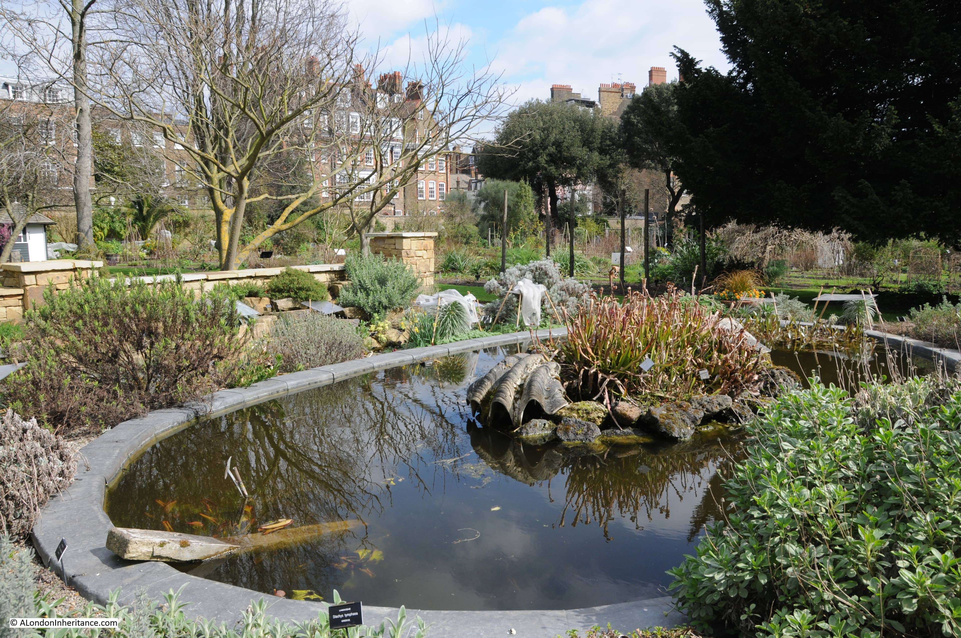 The Pond Garden