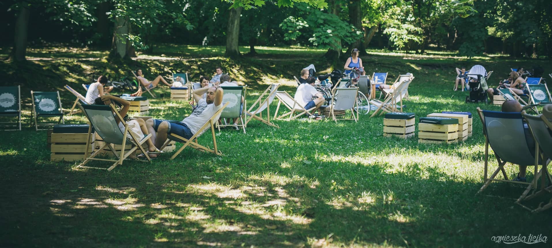 Picnic Spots with a View