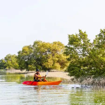 Kayaking Adventures