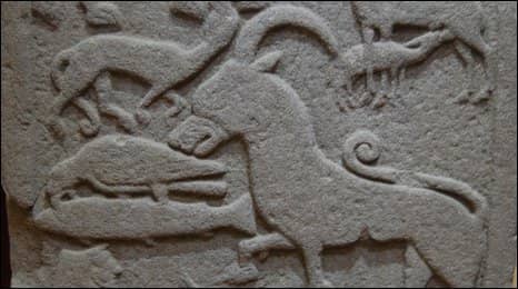 Highlights