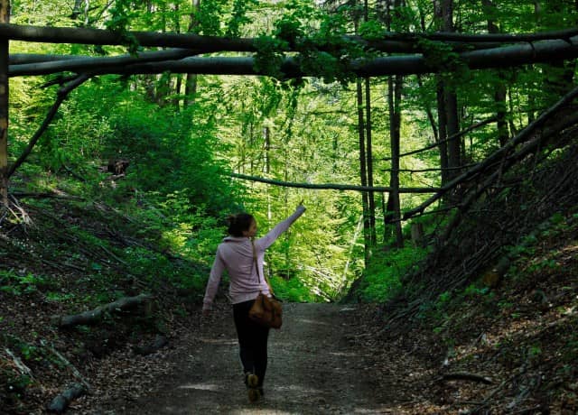 Scenic Nature Trail