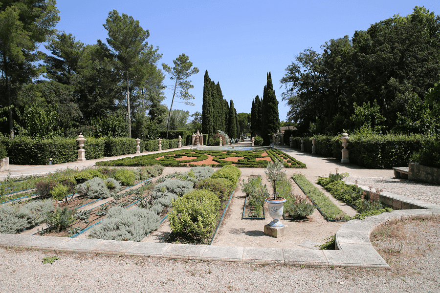 Olive Grove Serenity