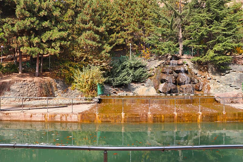 Tranquil Pond & Waterfall