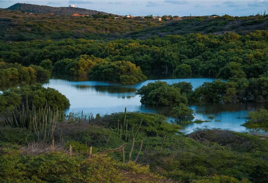 Birdwatching Paradise