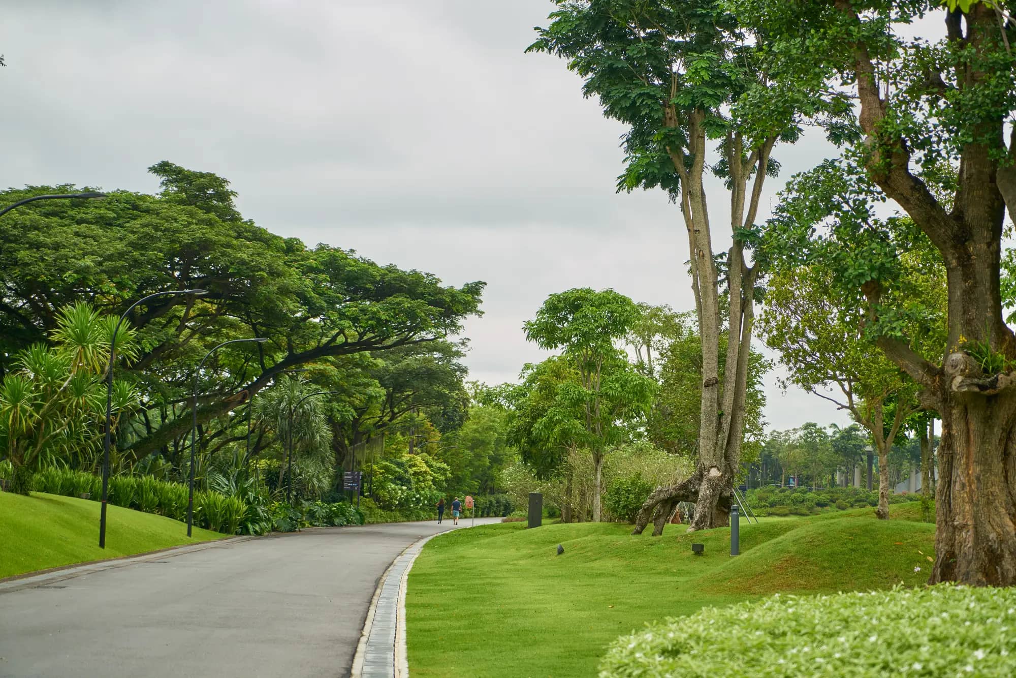 Well-Maintained Gardens