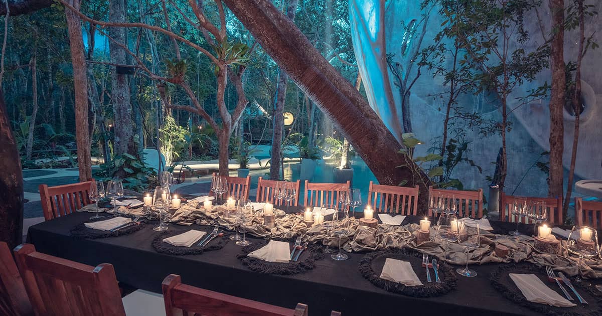 Jungle Cuisine Experience