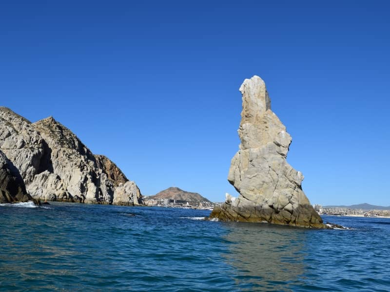Abundant Marine Biodiversity