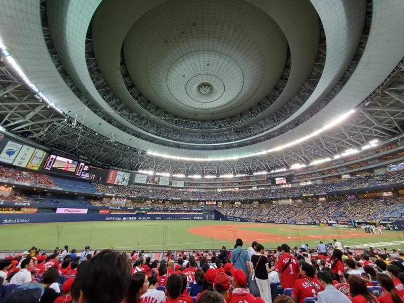 Dome Views