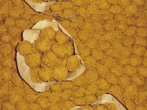 The Famous Besan Laddoos