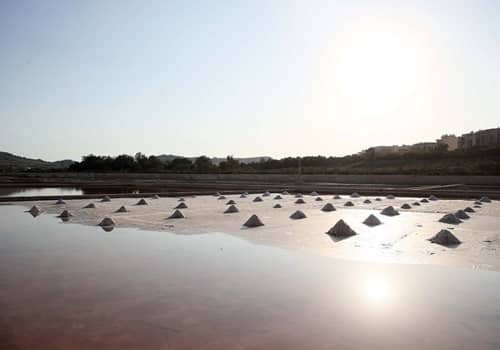 Educational Visitor Center