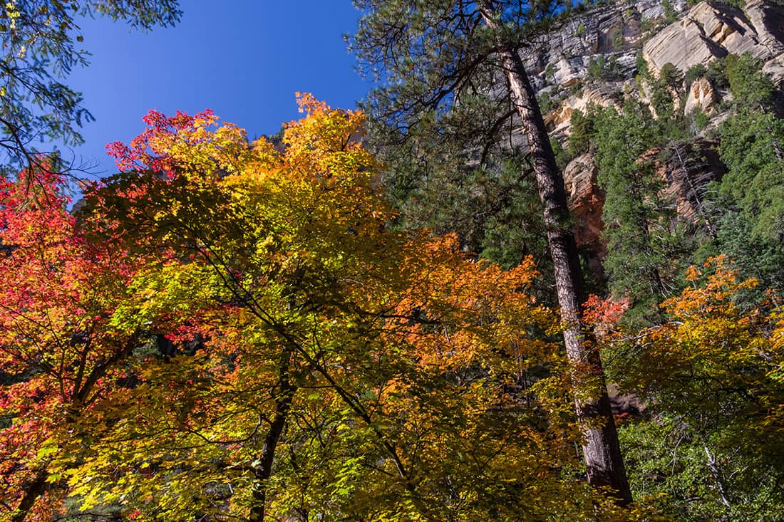 Maple Canyon Trailhead