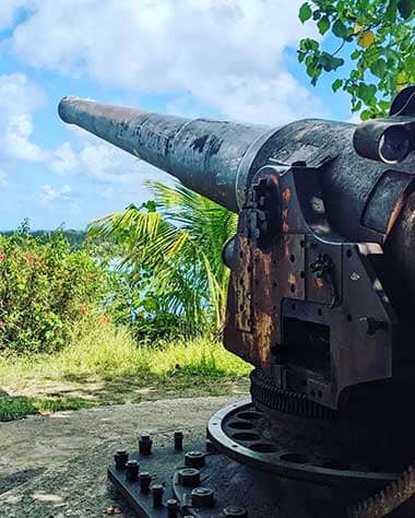Historic WWII Cannons