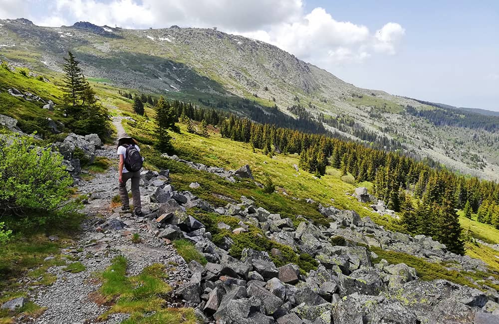 Vitosha Mountain Trails