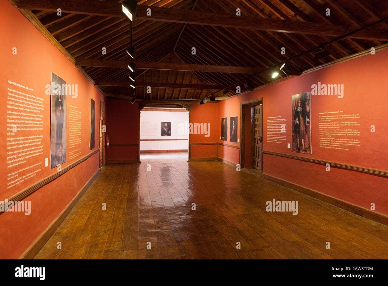Art Exhibitions