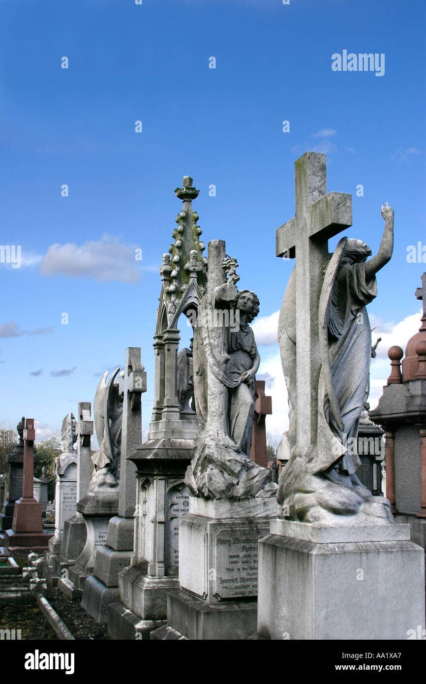 Highlights