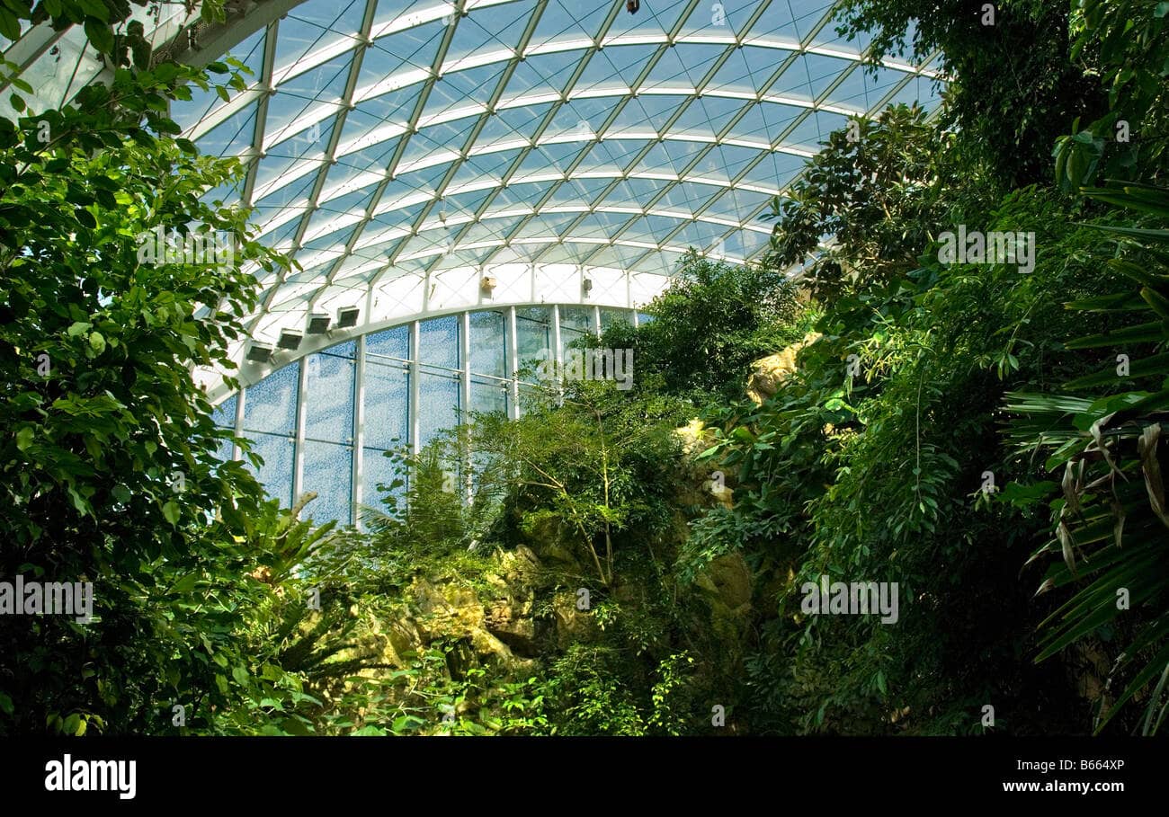 Rainforest House