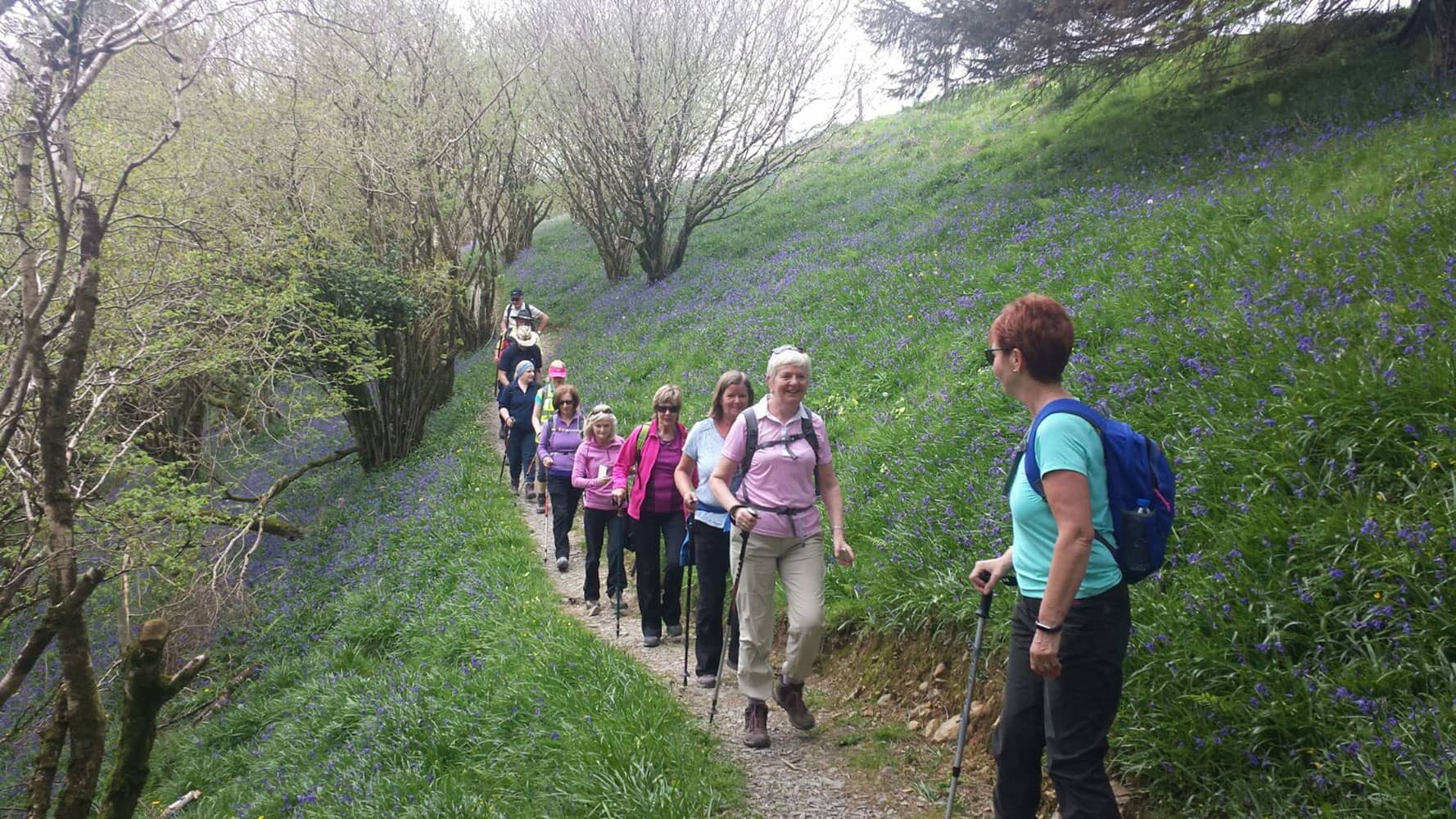 Glanageenty Valley Walk