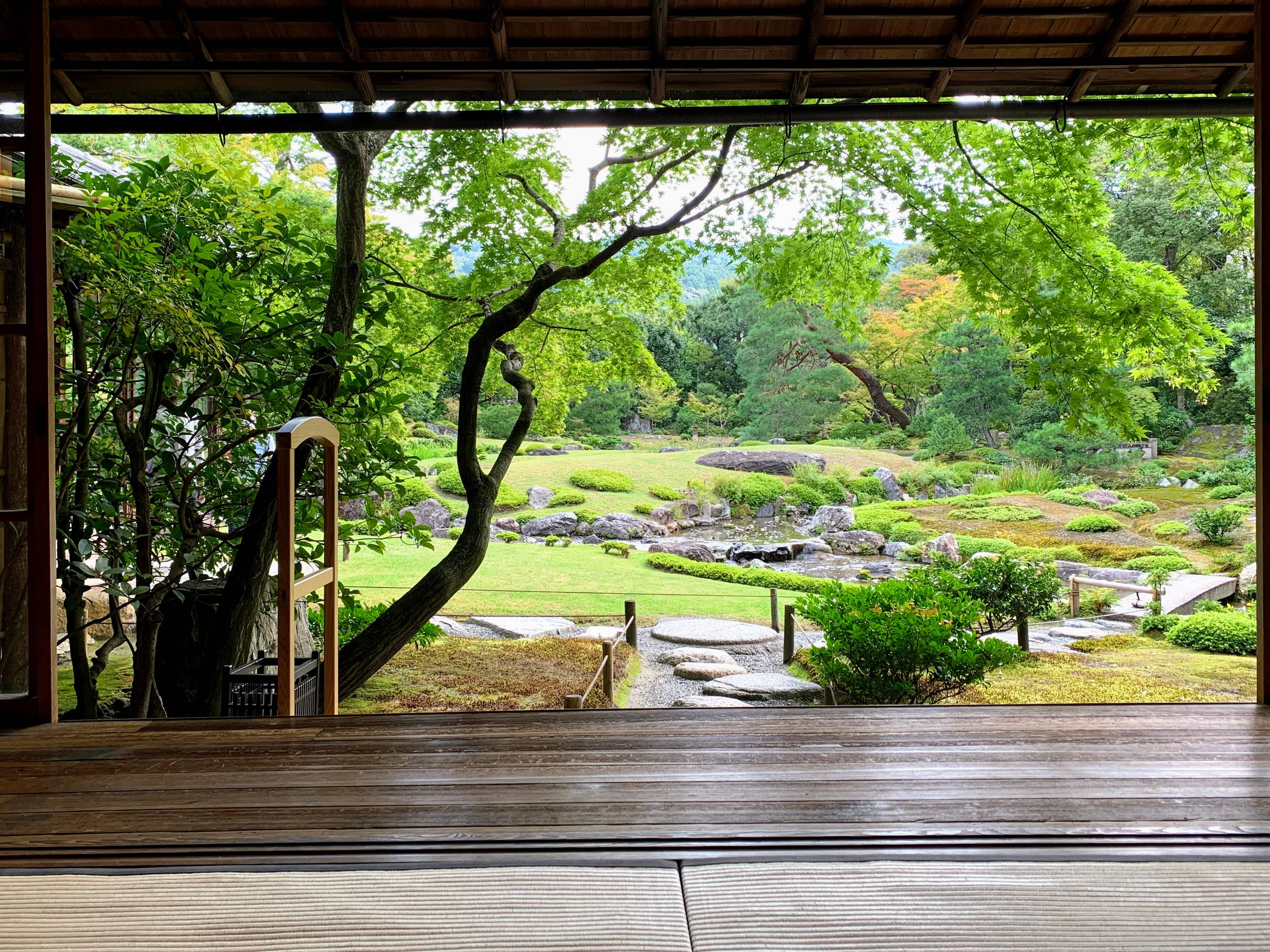 Moss Garden