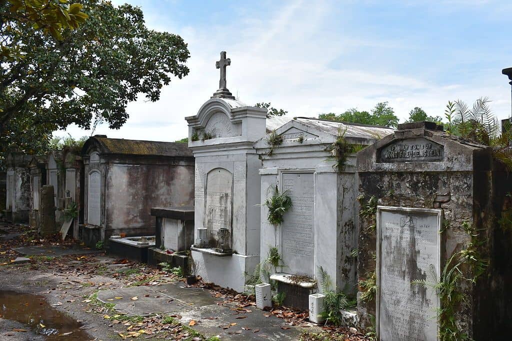 Garden District Views