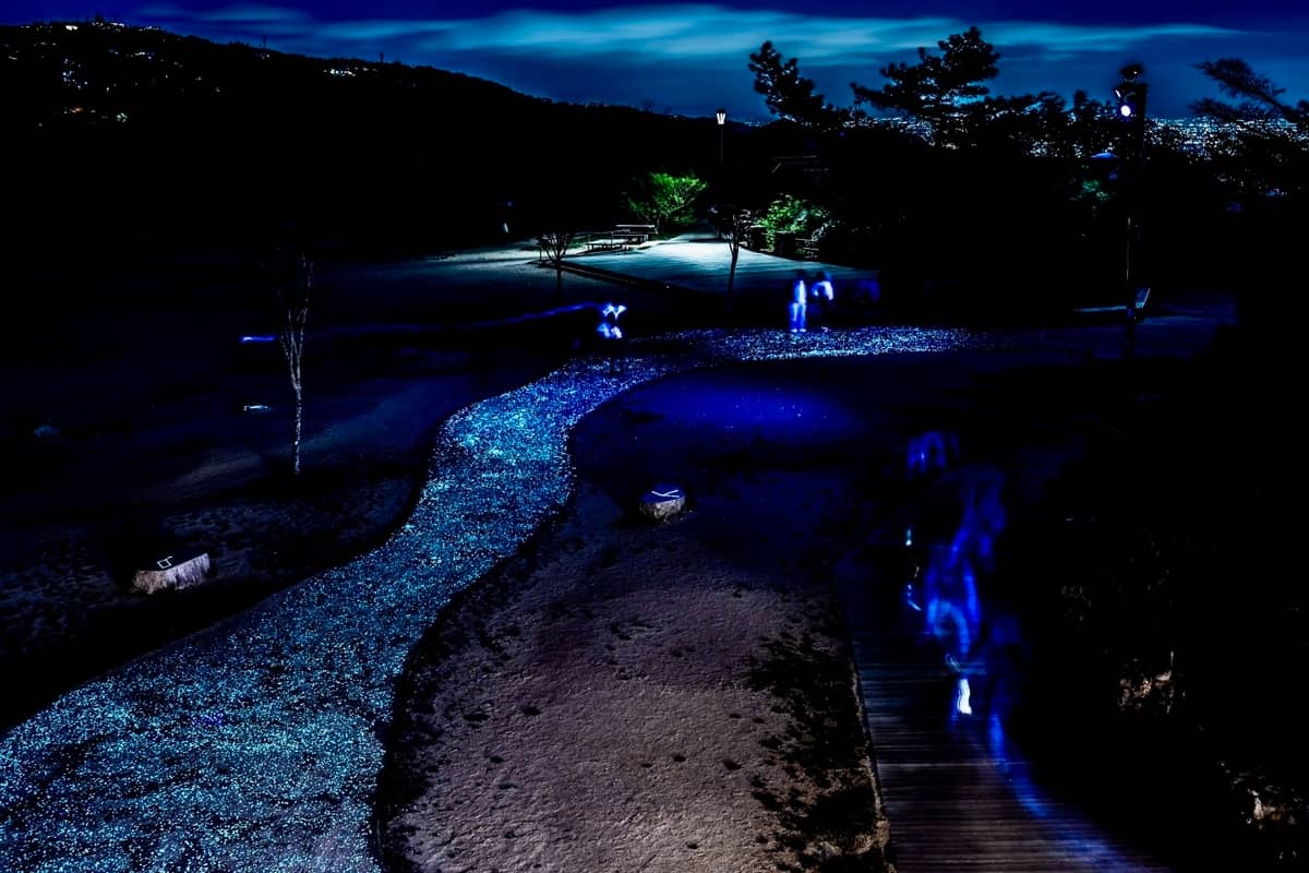 Luminous Night Paths