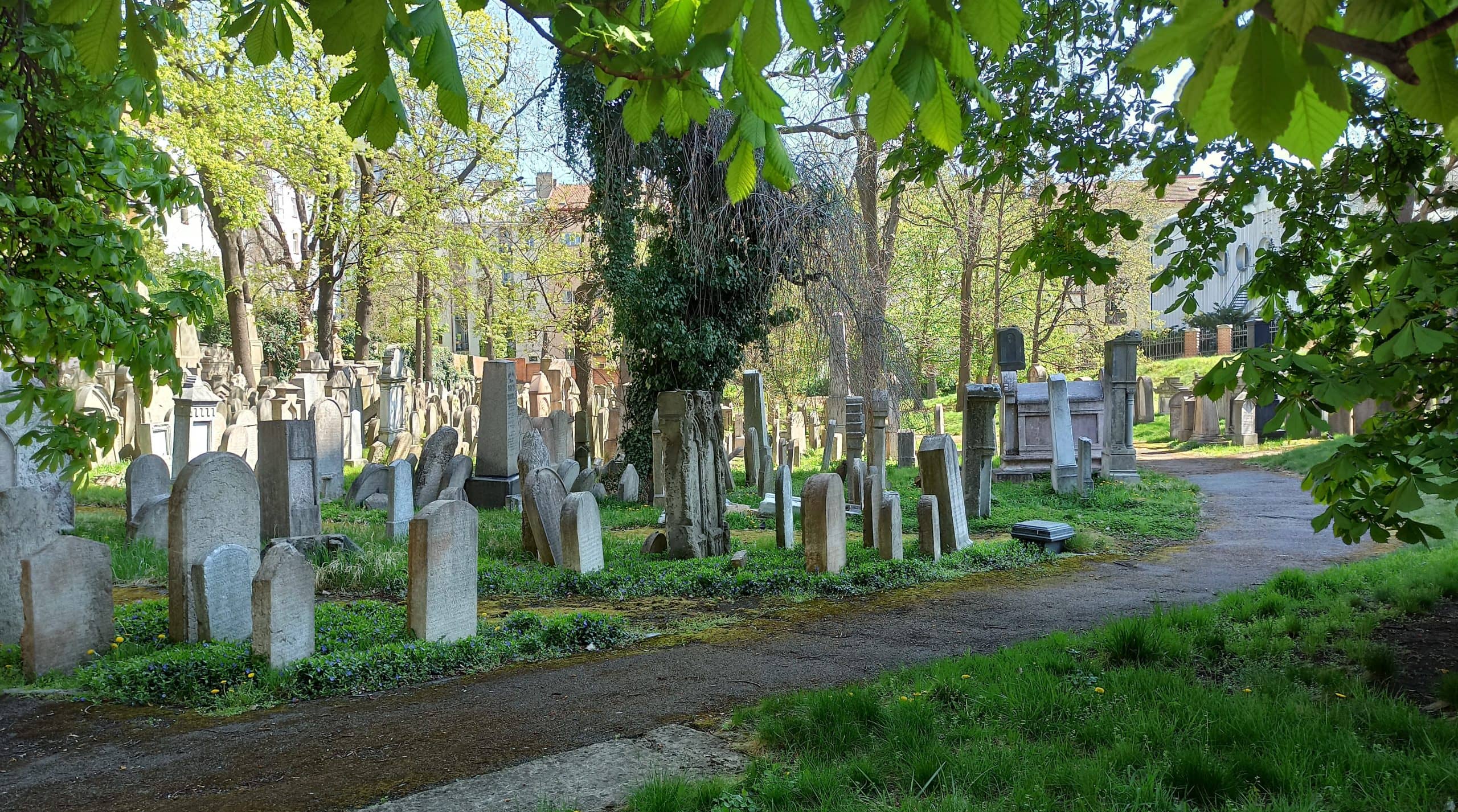 Old Jewish Cemetery Zizkov