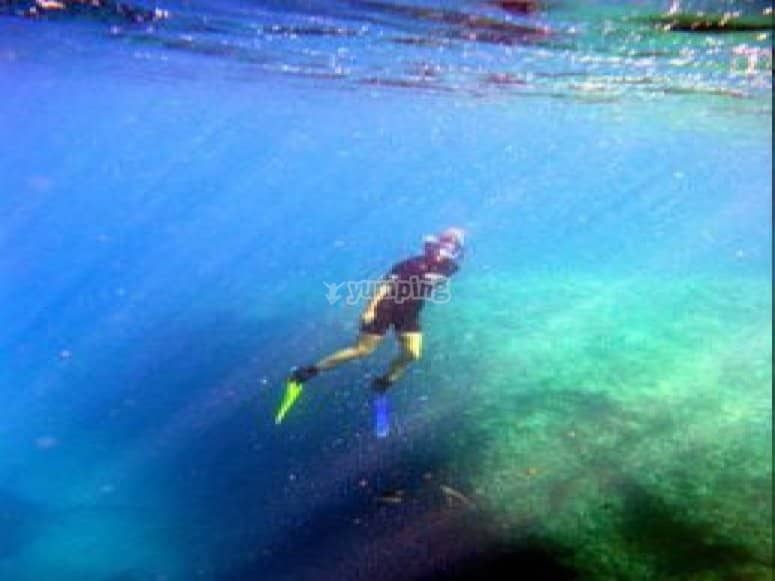 Underwater Wonders