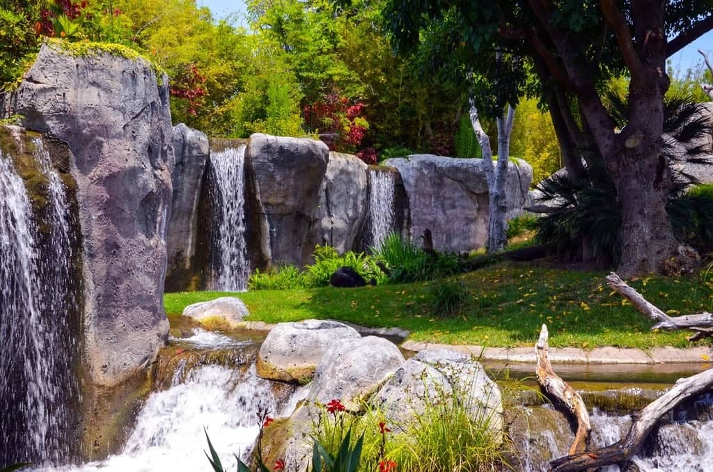 Gorilla Tropics
