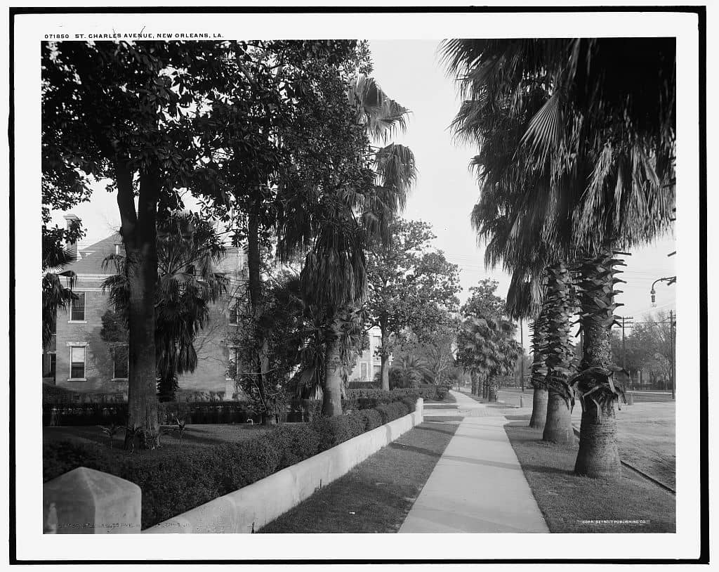 Scenic Oak-Lined Avenues