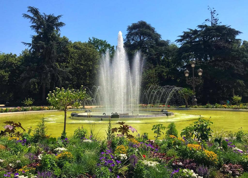 Lush Flower Gardens