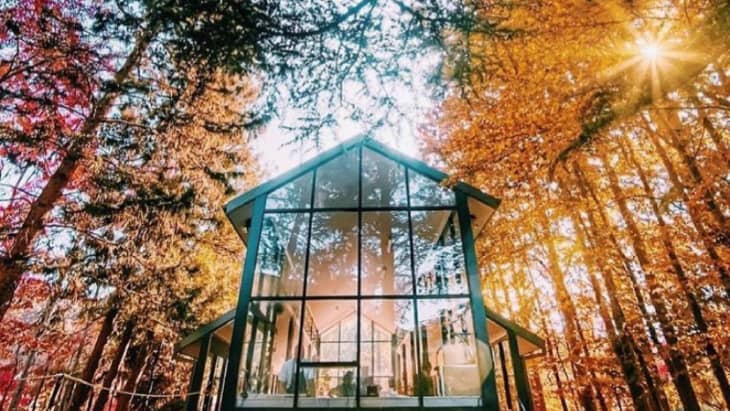 Sorensen Glasshouse & Gardens