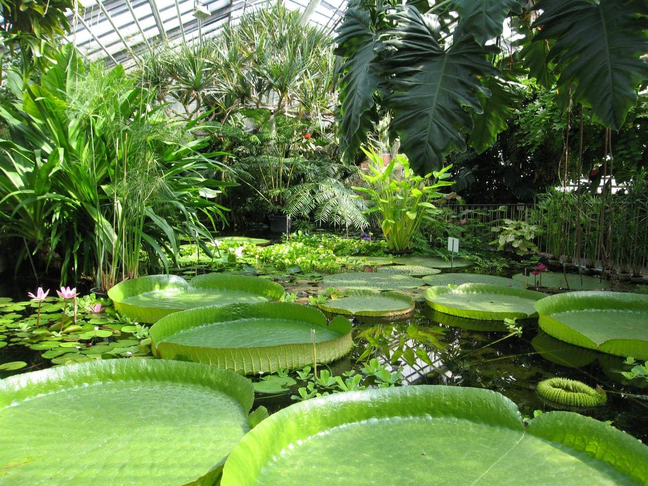 Spacious Arboretum