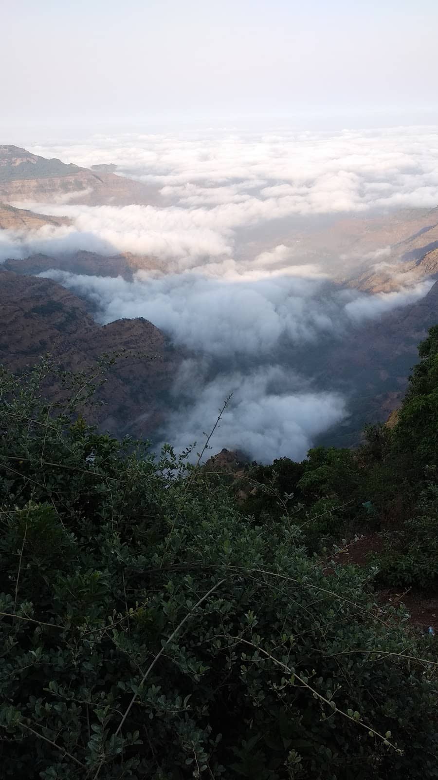 What are all romantic activities for couples in munnar 45 https://airial.travel/_next/image?q=70&url=https%3A%2F%2Fcoinventmediastorage.blob.core.windows.net%2Fmedia-storage-container%2Fgphoto_ChIJRb16lTh7wjsR-xTAXufRwHo_0.jpg&w=3840