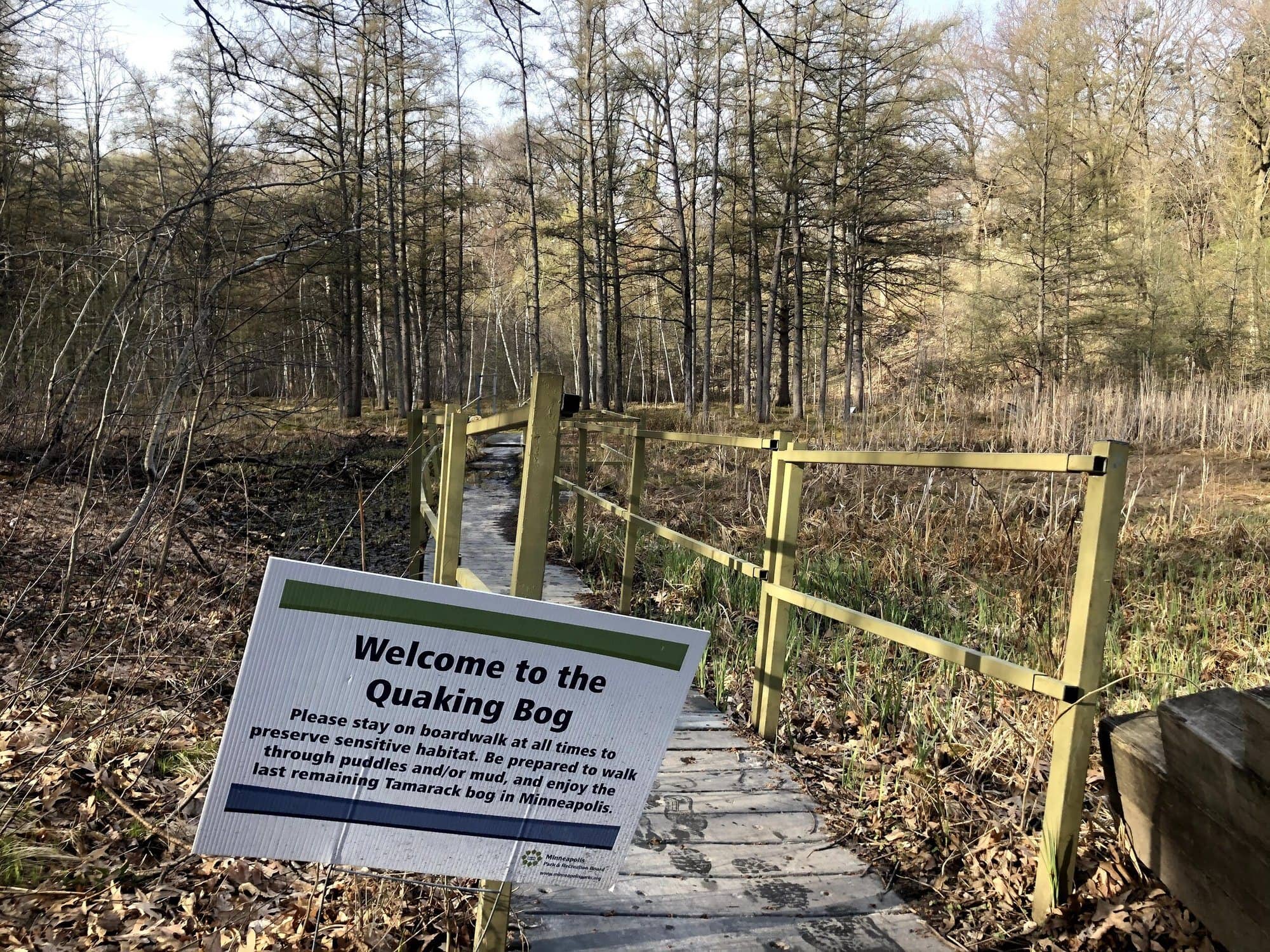 The Quaking Bog