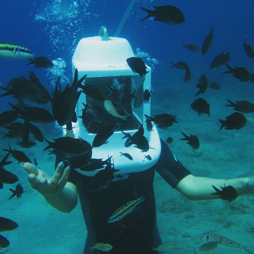 Marine Life Hotspot