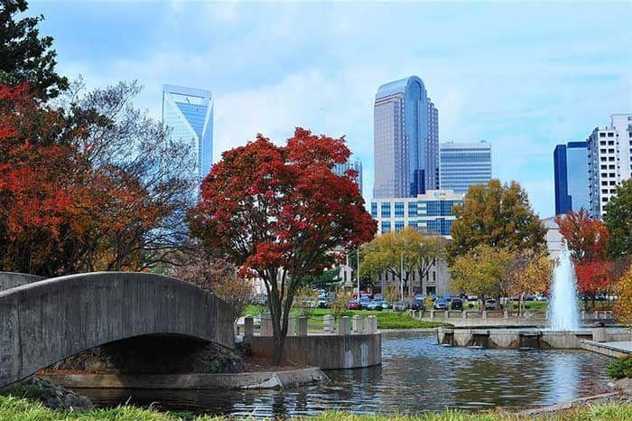 Tranquil Pond & Fountain