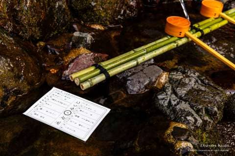 Water Omikuji (Fortune)
