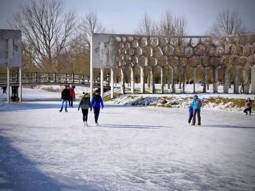Skating Area