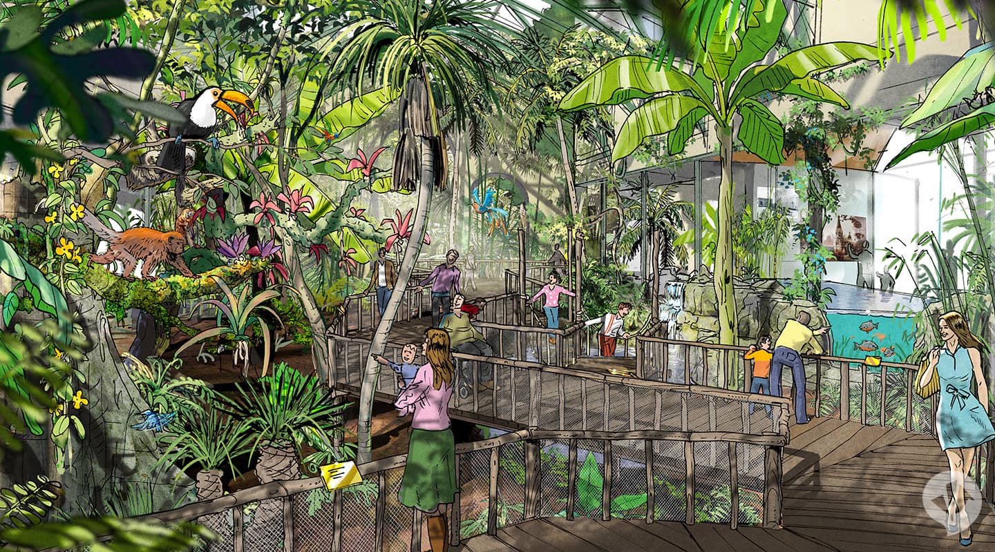 Rainforest House