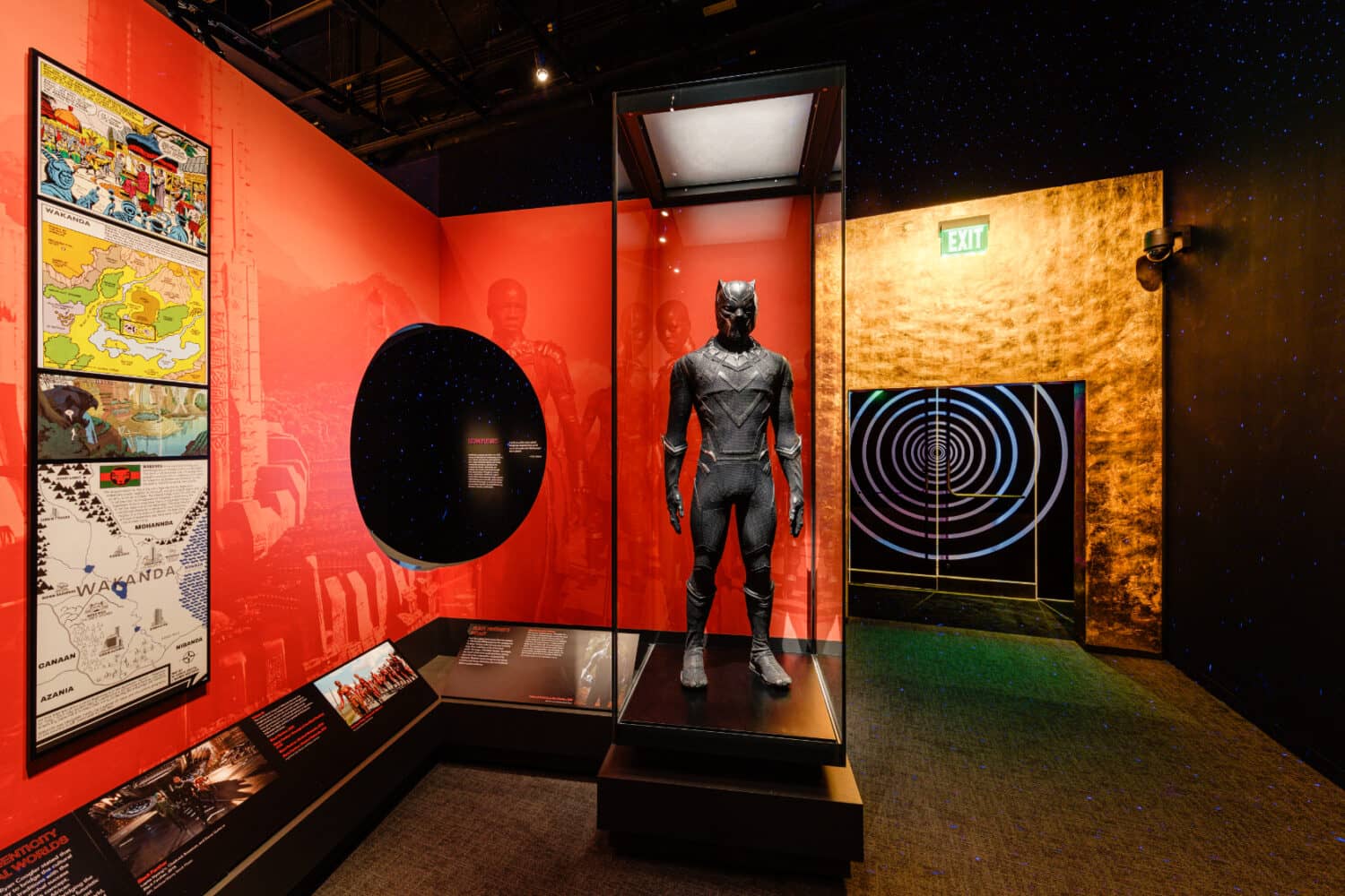 Black Panther & Fred Hampton Exhibit