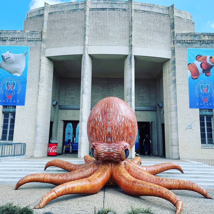 Texas Wildlife Exhibits