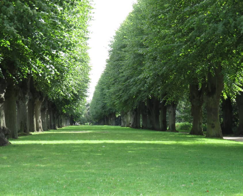 The People's Park