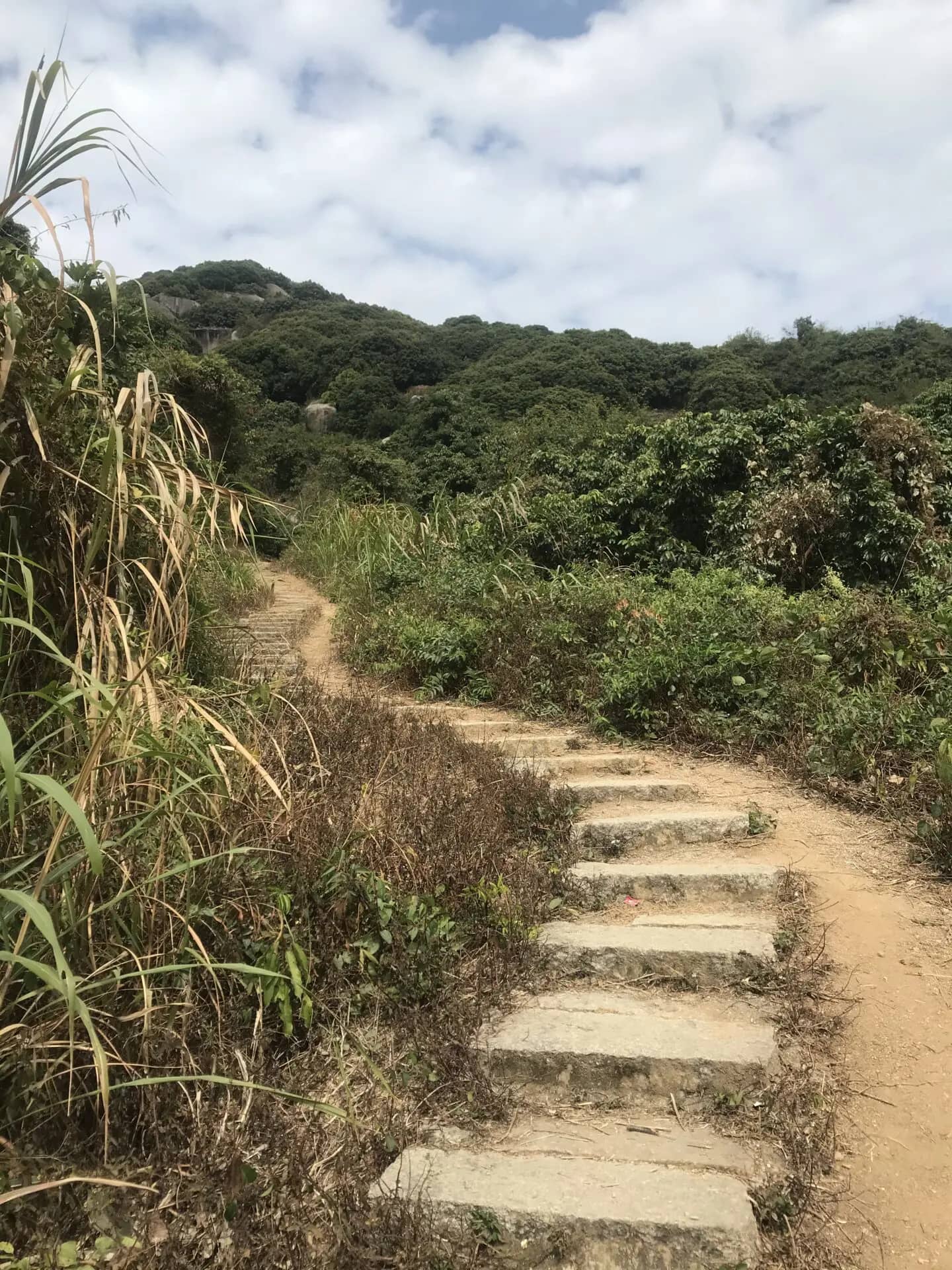 The Endless Steps