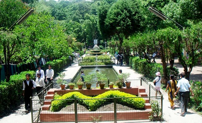 Lush Greenery and Walking Paths