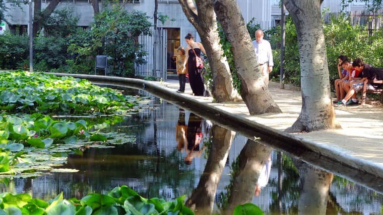 Tranquil Pond