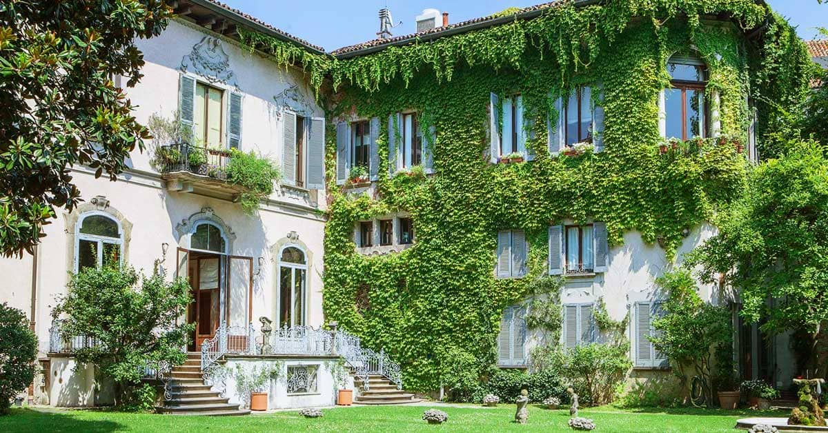 The Vineyard of Leonardo