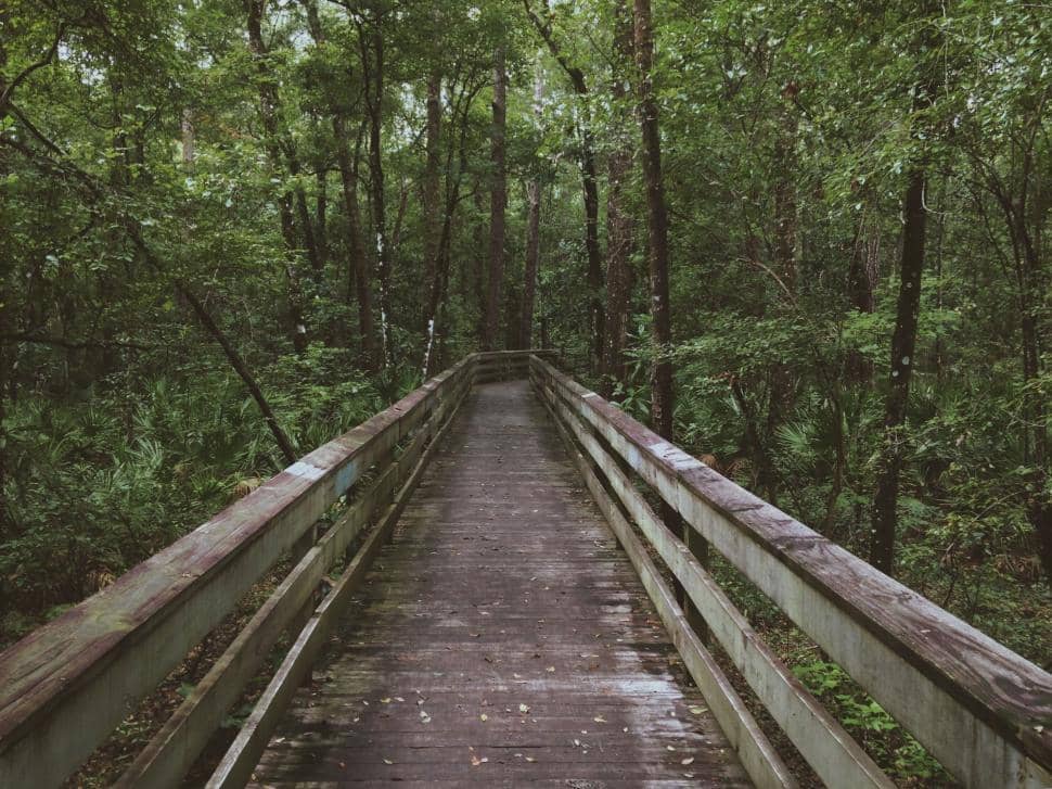 Nature Trail