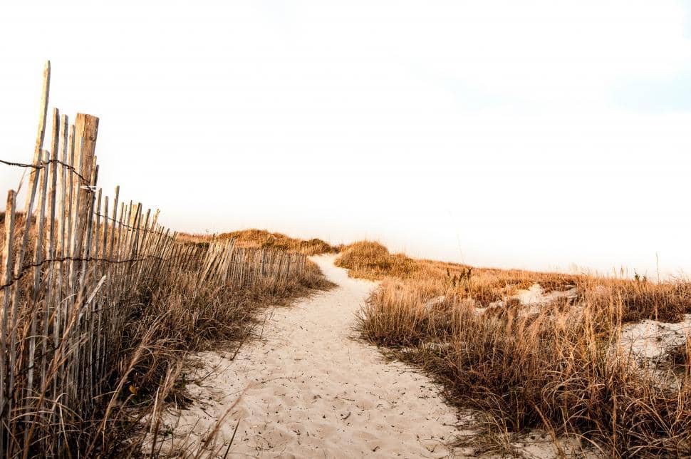 Pensacola Beach Eco Trail