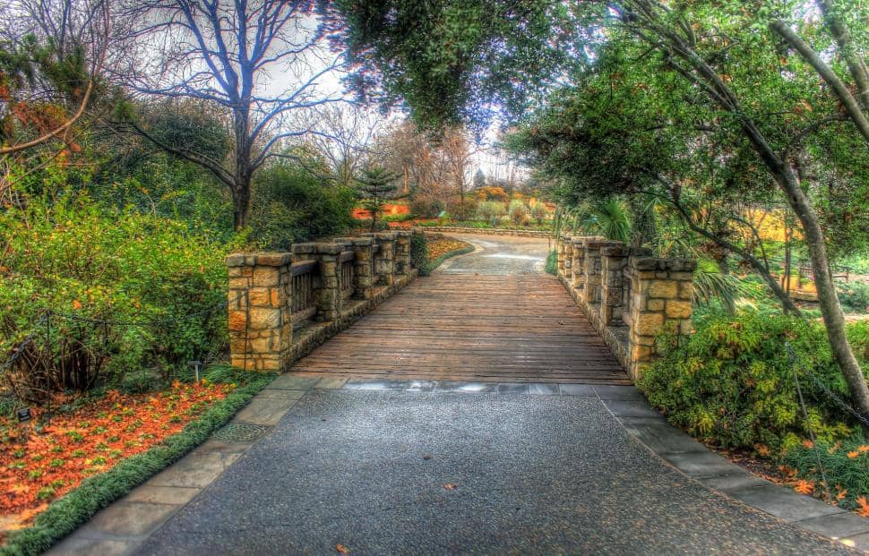 Winding Trails