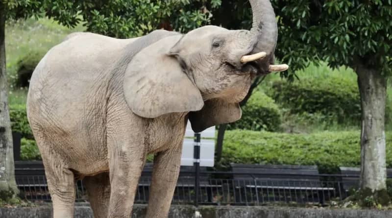 Vibrant Reptile House