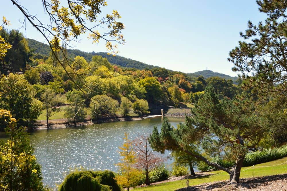 Highlights
